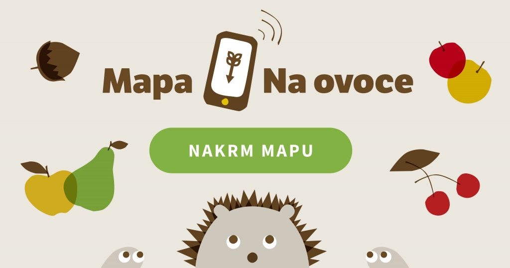 где находятся места сбора